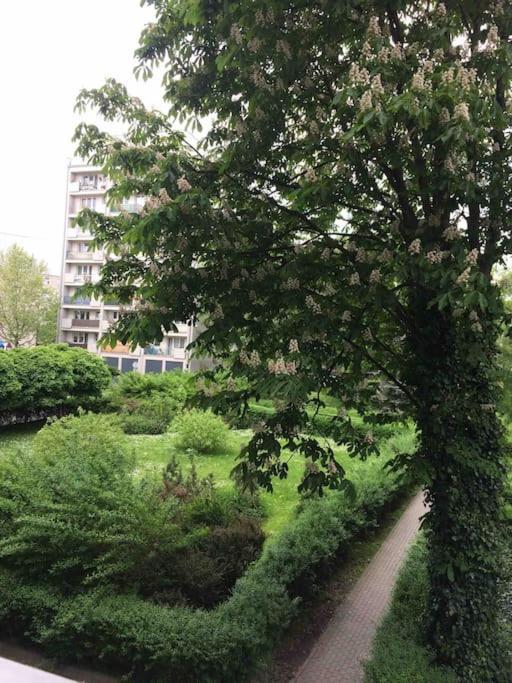 Lägenhet Bright And Cozy Near Park, With A Huge Terrace.